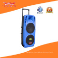 Double 10′′ Professional Stag Speaker with Colorful Light F73